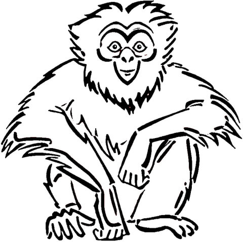 Sitting Gibbon  Coloring Page